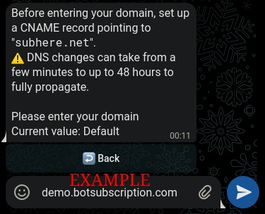 Entering a custom domain in BotSubscription Web Portal settings.